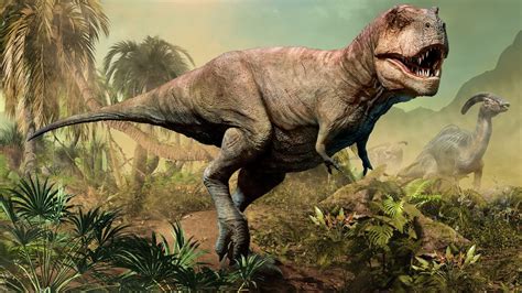 between 65 and 145 million years ago|Cretaceous Period .